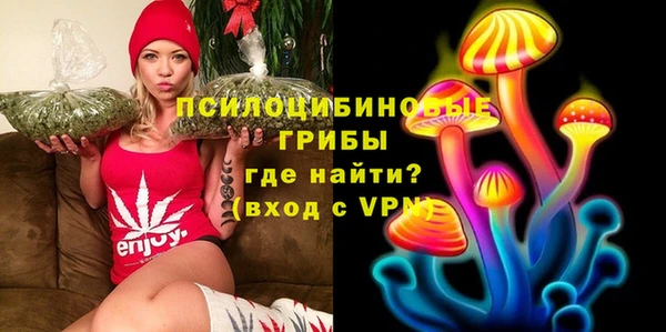 мет Осташков