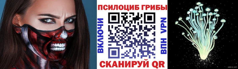 наркошоп  Калининец  Псилоцибиновые грибы прущие грибы 