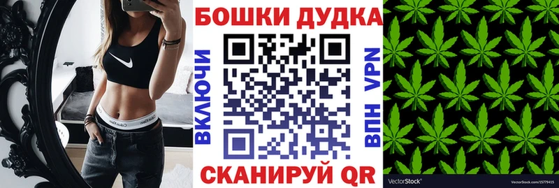 Конопля ГИДРОПОН площадка как зайти Калининец
